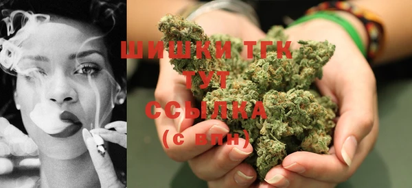 стаф Зеленокумск
