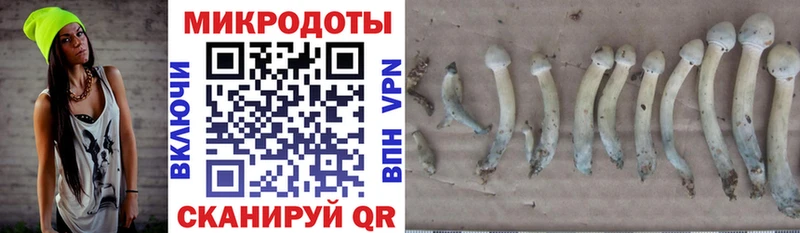 блэк спрут ТОР  Любань  Галлюциногенные грибы Psilocybe  дарнет шоп 